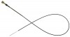 Thumbs 1