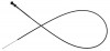 Thumbs 1